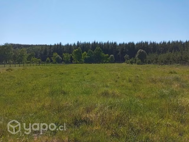 Una hectárea de terreno y amplia casa de +100m²