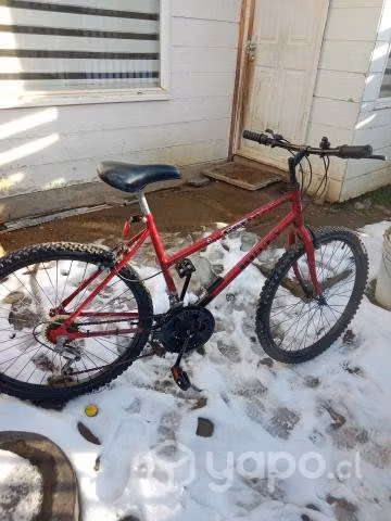 3 bicicletas