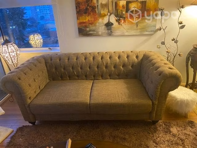 Sillón solo está arañado por garito parte