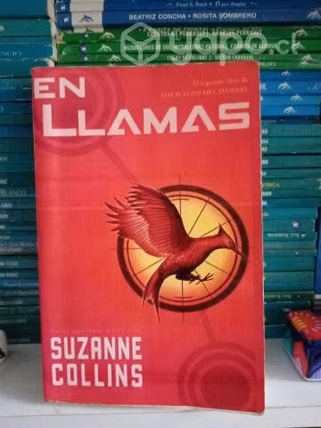 En llamas