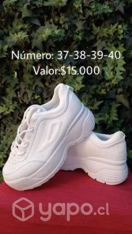 Calzados varios