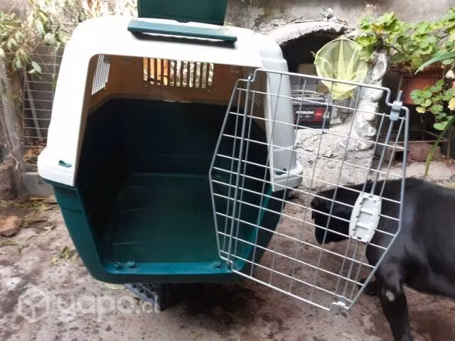 Canil de perro mediano - Imagen 6