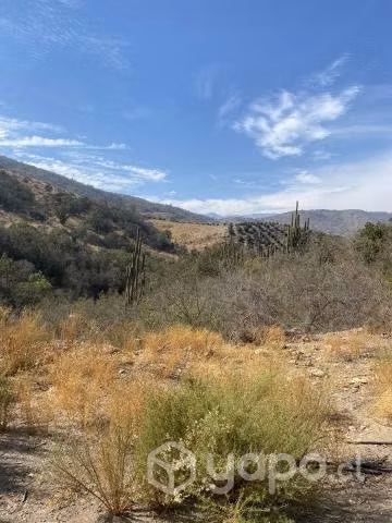 Oportunidad única  Parcelas 5.000mt2 con rol - Imagen 4