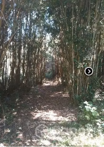 Terrenos en cochamo - Imagen 4