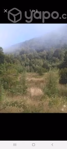 Parcela de 5.000m