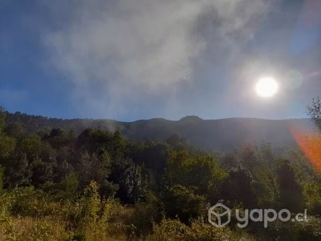 Parcela de 5.000m - Imagen 2