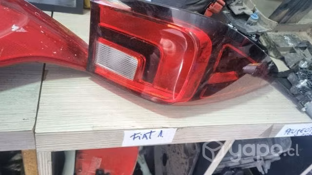 Foco de mg zs