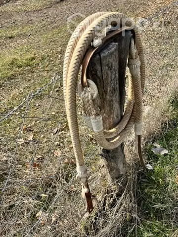 Riendas Tucumanas