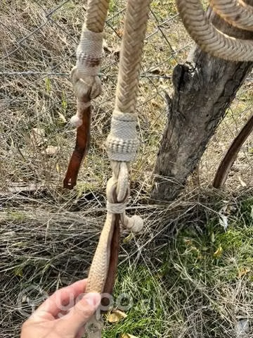 Riendas Tucumanas