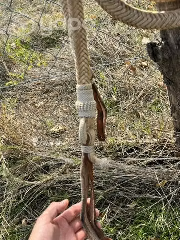 Riendas Tucumanas