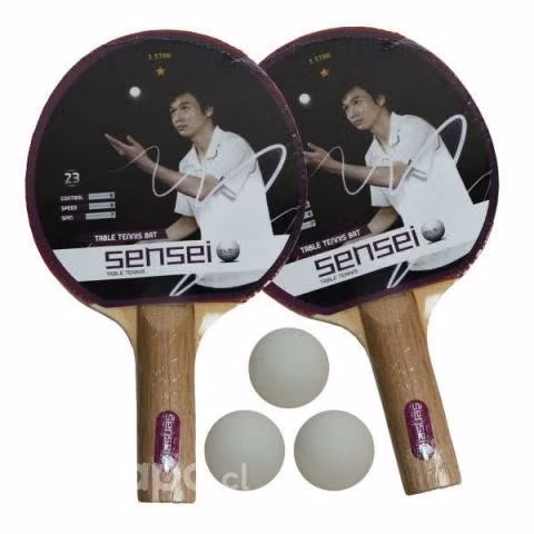 Set 2 paletas + 3 pelotas tenis de mesa