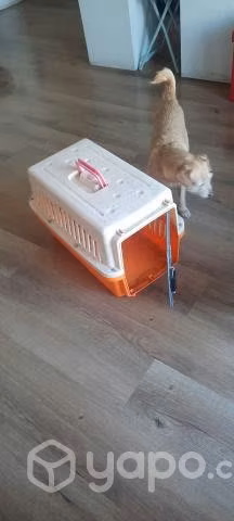 Canil de Transporte de perro - Imagen 2