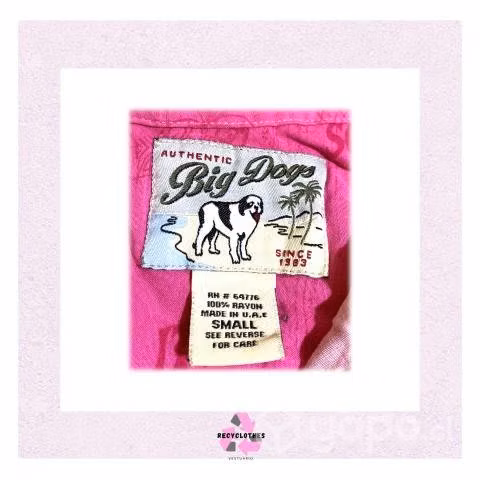Blusa Big Dogs - Imagen 3
