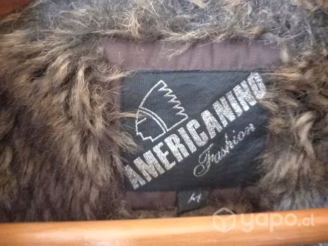 Casaca americanino