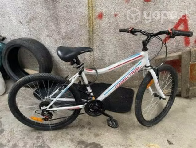 Bicicleta mujer