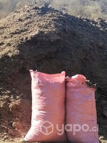 Guano de caballo