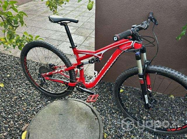 Bicicleta Specialized - Imagen 2
