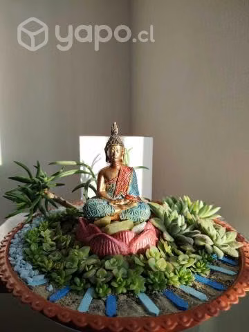 ¡Mini Jardines Zen