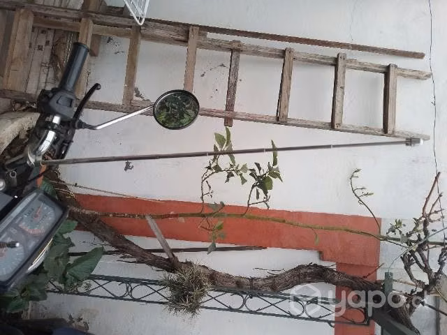 Antena Corta Hilo