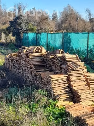 Tejas Marsellesa Antiguas sureñas