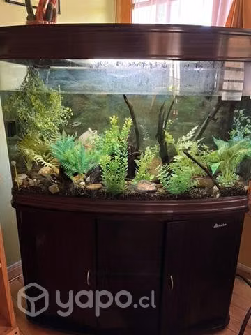 Acuario 200 litros