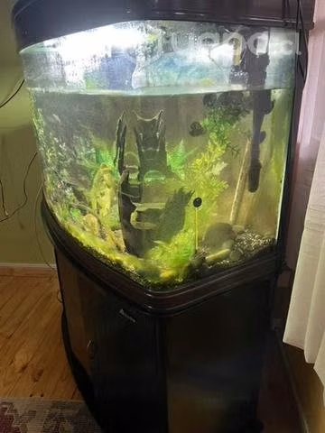 Acuario 200 litros - Imagen 4