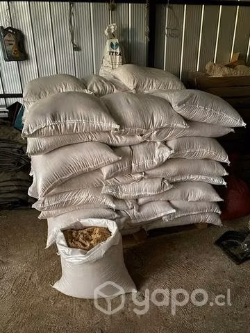 Alimento para perro - Imagen 3