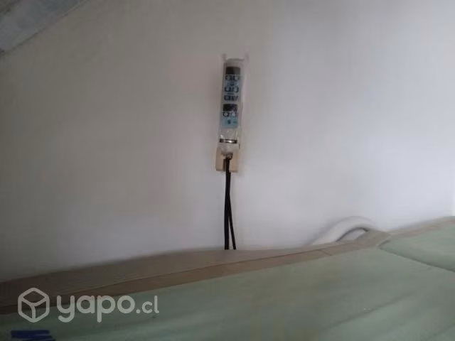 Camilla terapeutica - Imagen 2
