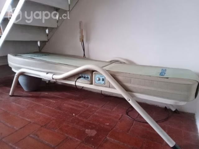 Camilla terapeutica - Imagen 4
