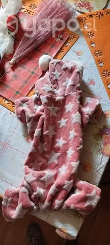 Ropita para el peludo de la familia