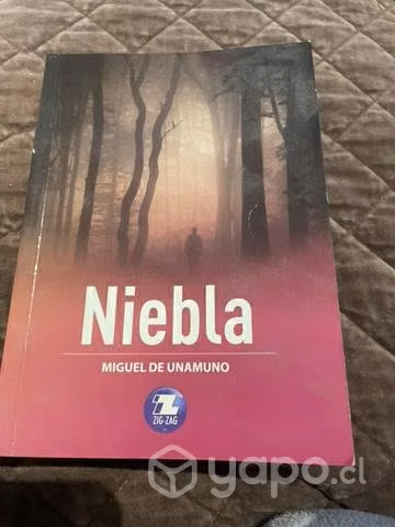 Libro niebla