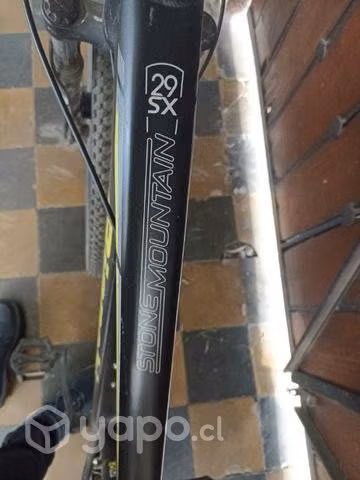 Bianchi sx stone mountain - Imagen 3