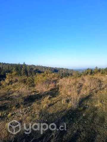 Parcela Bucalemu - Imagen 2