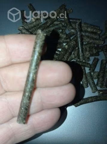 Alimento Pellet con 34% Proteina
