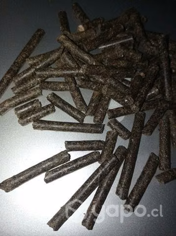 Alimento Pellet con 34% Proteina
