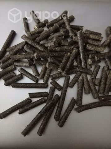 Alimento Pellet con 34% Proteina