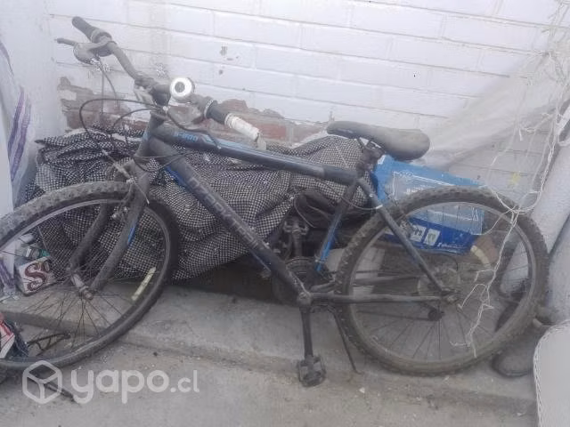 Bicicleta y otros