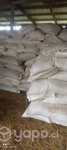 150 sacos de alimento concentrado de engorda