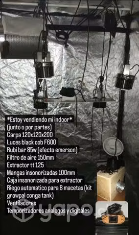 Kint cultivo indoor 600w
