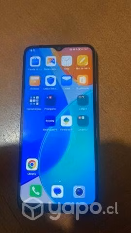 Celular