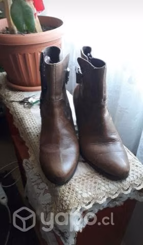 Botines de cuero color Café