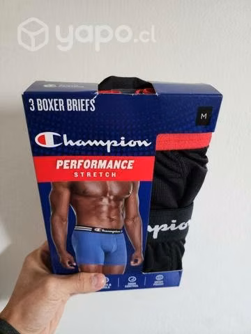 Boxers Champion