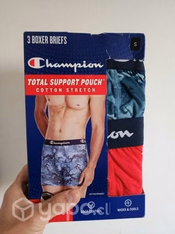 Boxers Champion