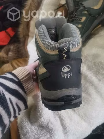 Zapatillas lippi
