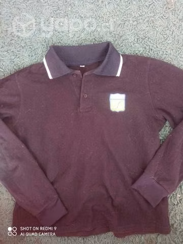 Poleras colegio domingo Santa María