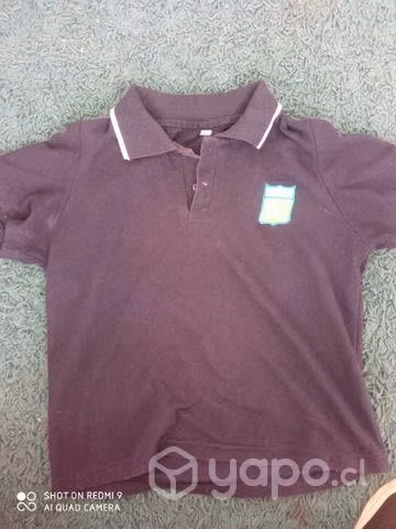 Poleras colegio domingo Santa María