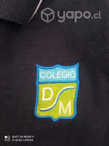 Poleras colegio domingo Santa María