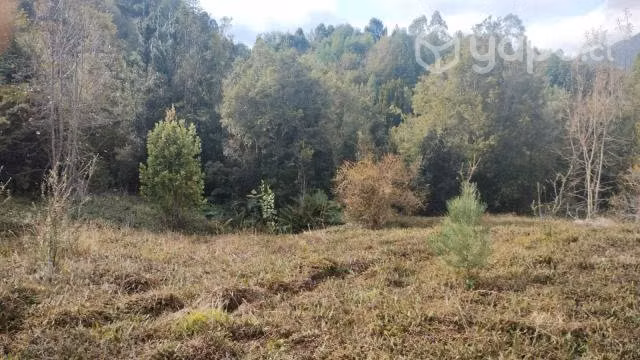 2 Hectareas en Correntoso, Decima Region