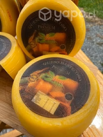 Queso Chanco Mantecoso Venta al Por Mayor