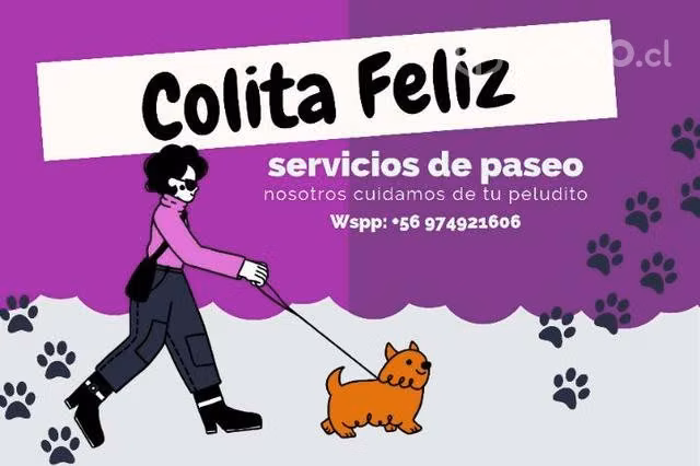 Paseador de Perros